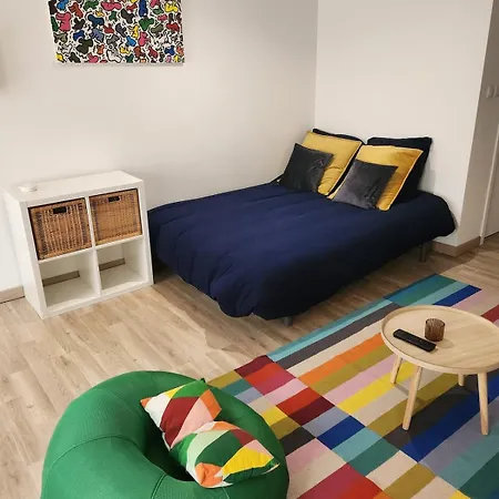 Spacieux Sushi - 1 Lit Double - Rue Calme- Centre * Charleville-Mézières